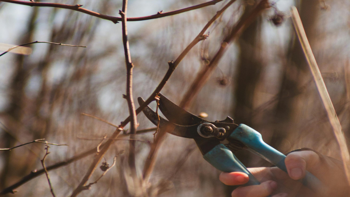 10 Common Gardening Mistakes and How to Avoid Them