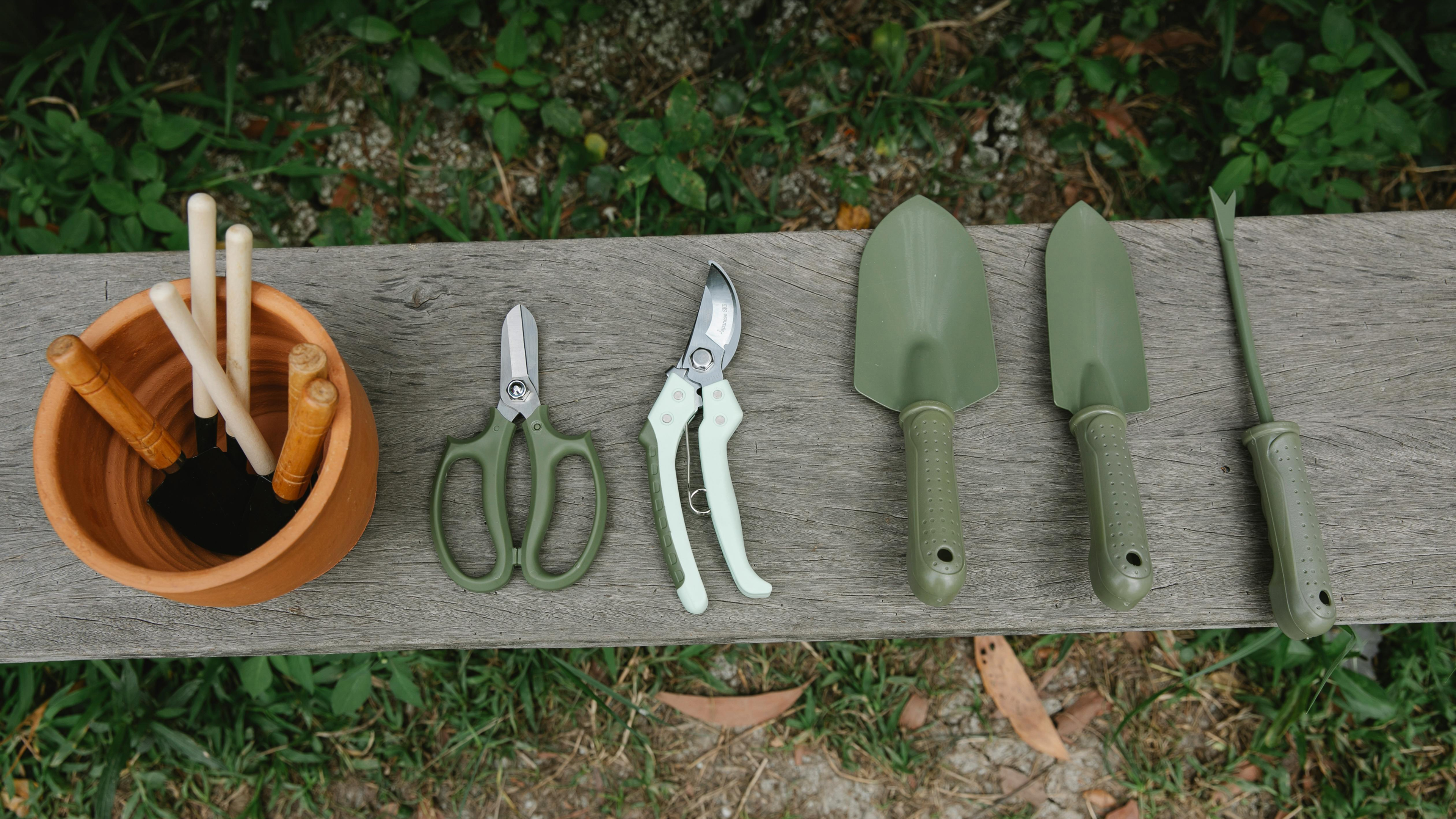 Essential Tools Every Gardener Should Own