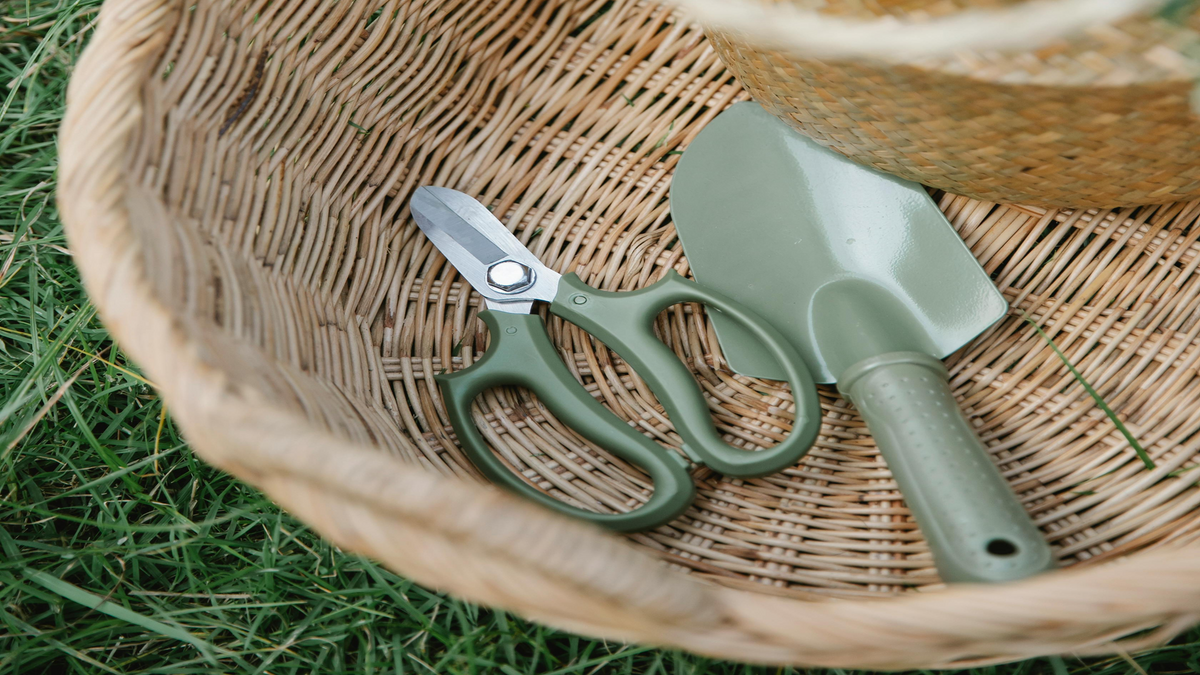 The Best Scissors for Trimming Flowers and Herbs