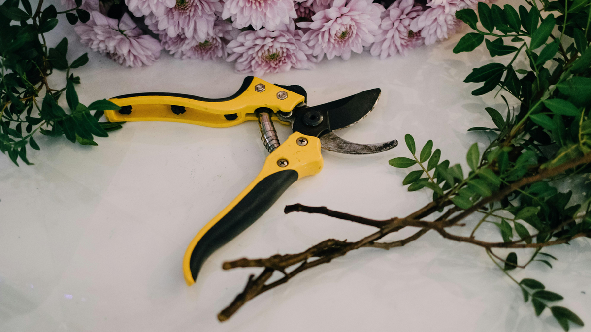 The History of Garden Scissors and Their Modern Uses