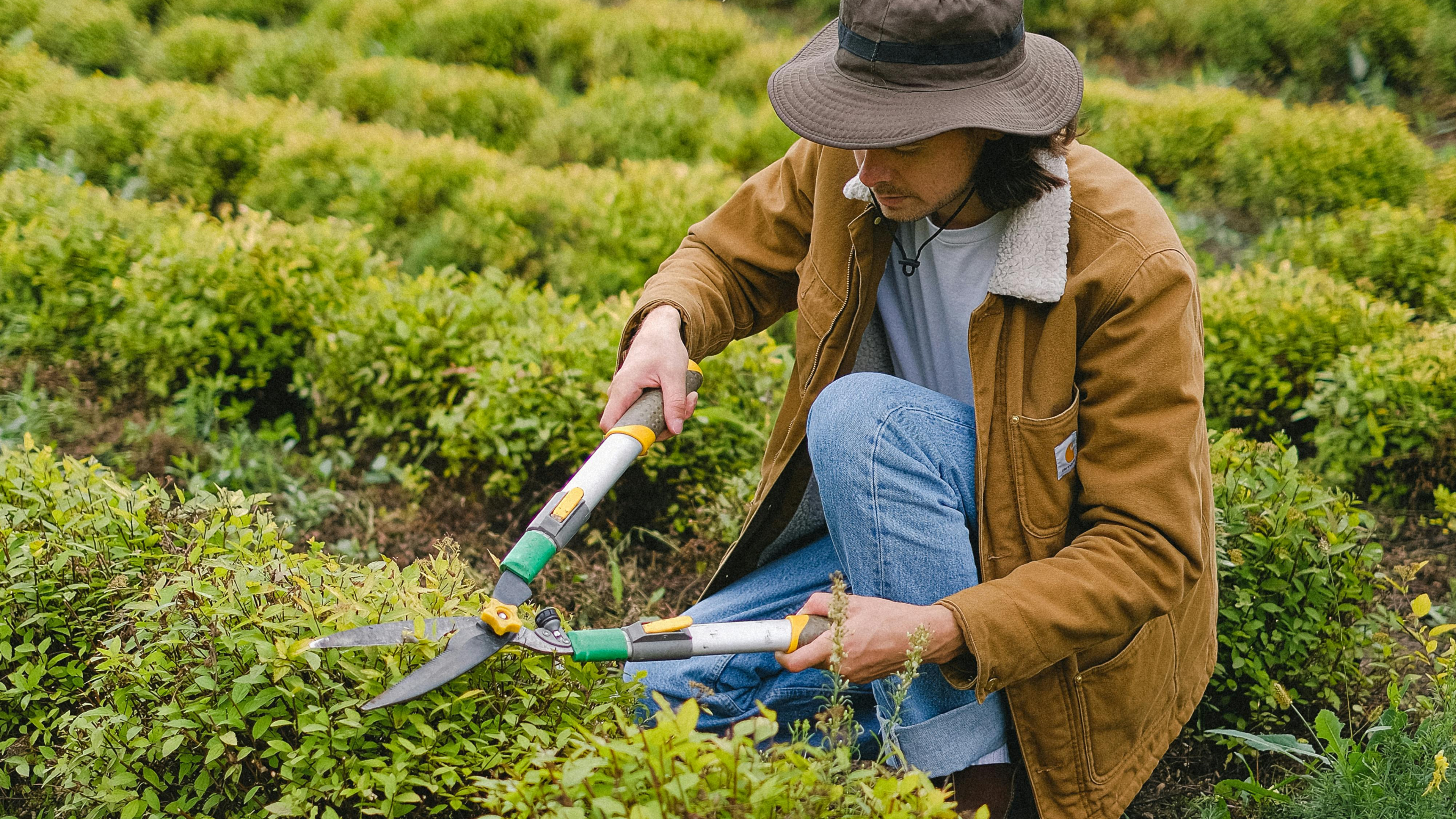 Garden Paths, Borders, and Beds — DIY Tips