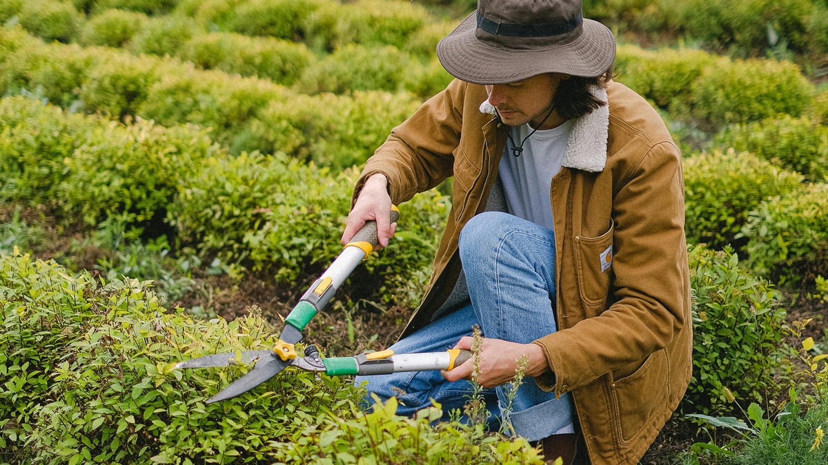 Garden Paths, Borders, and Beds — DIY Tips