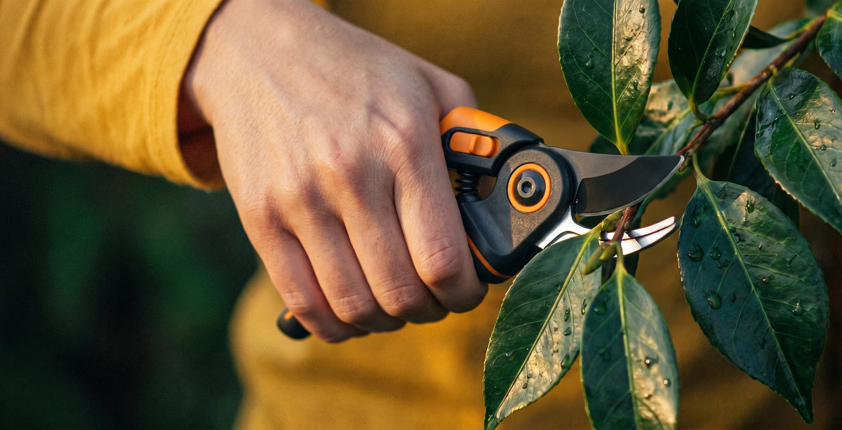 Tools Designed to Make Every Cut Count