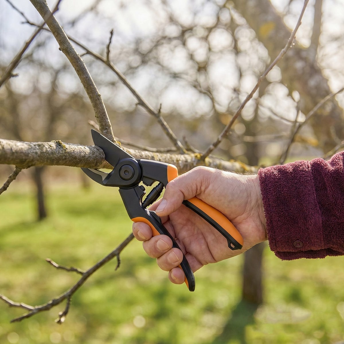 Ratchet Pruner