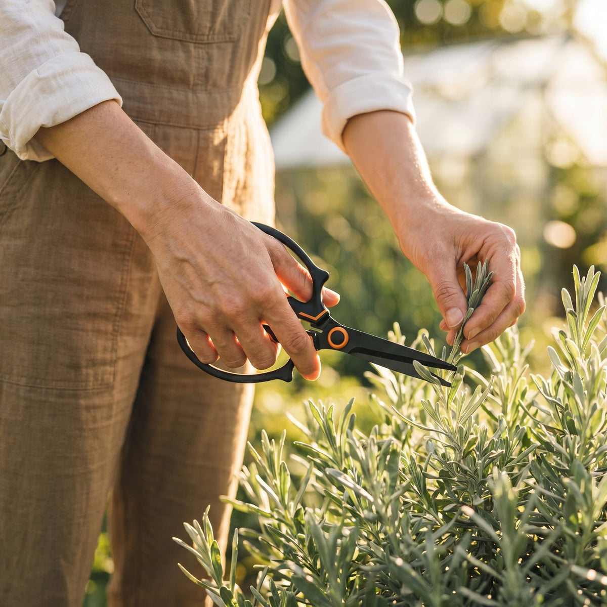 Garden Scissors