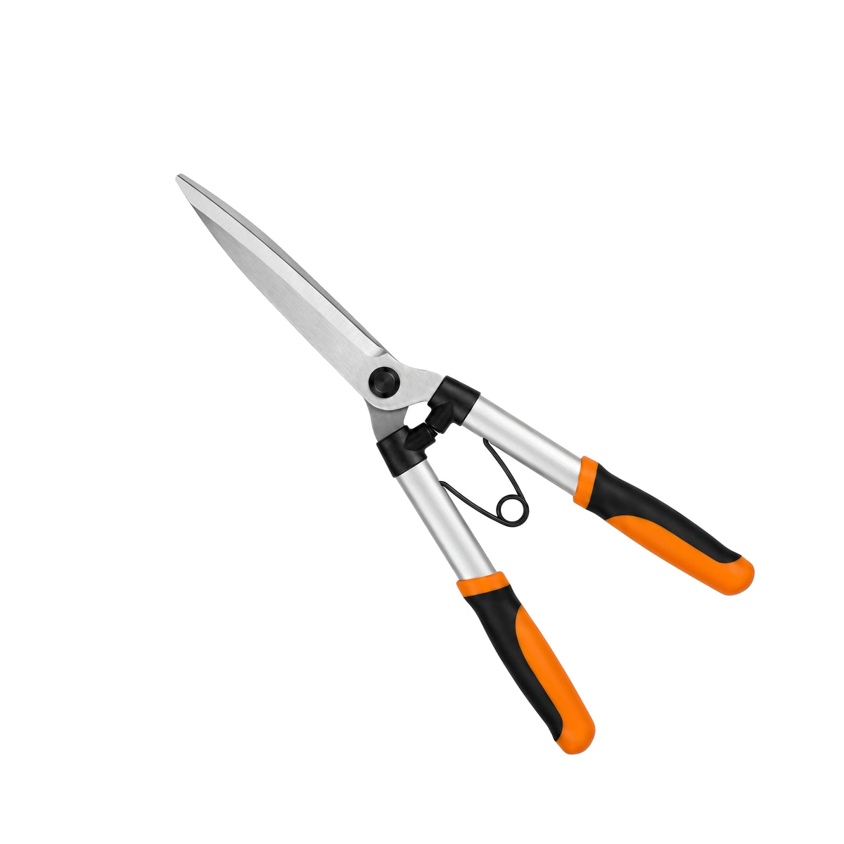 Hedge Shears