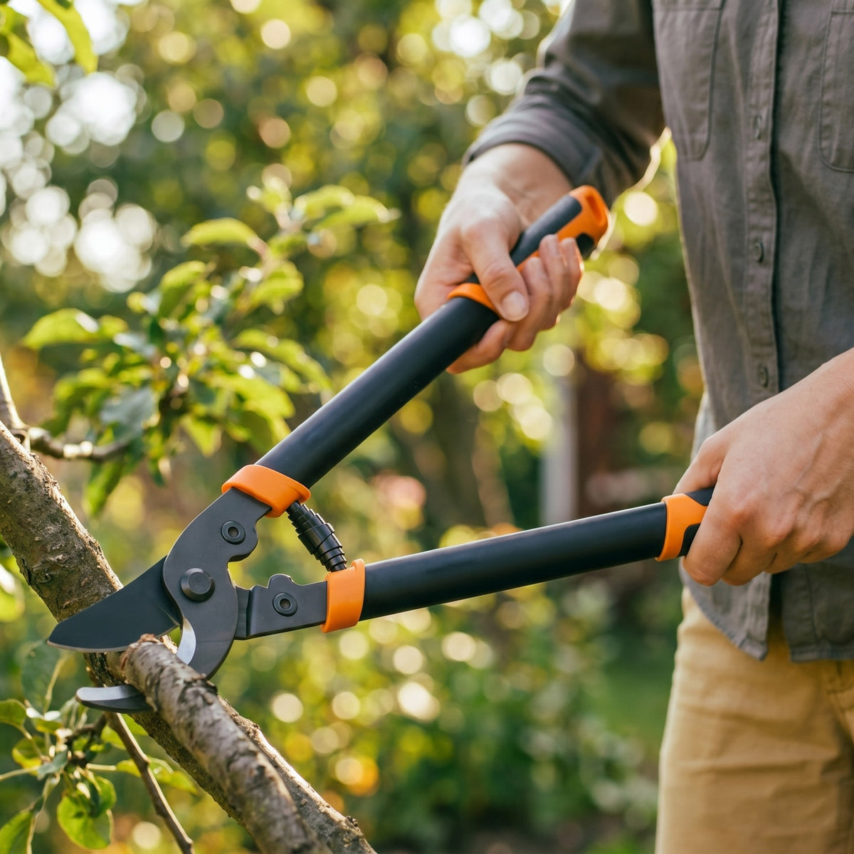 Telescopic Lopper