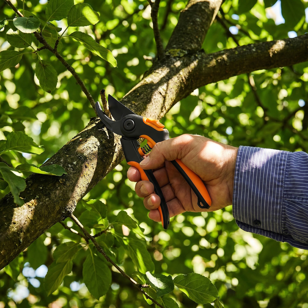 Soft Grip Pruner
